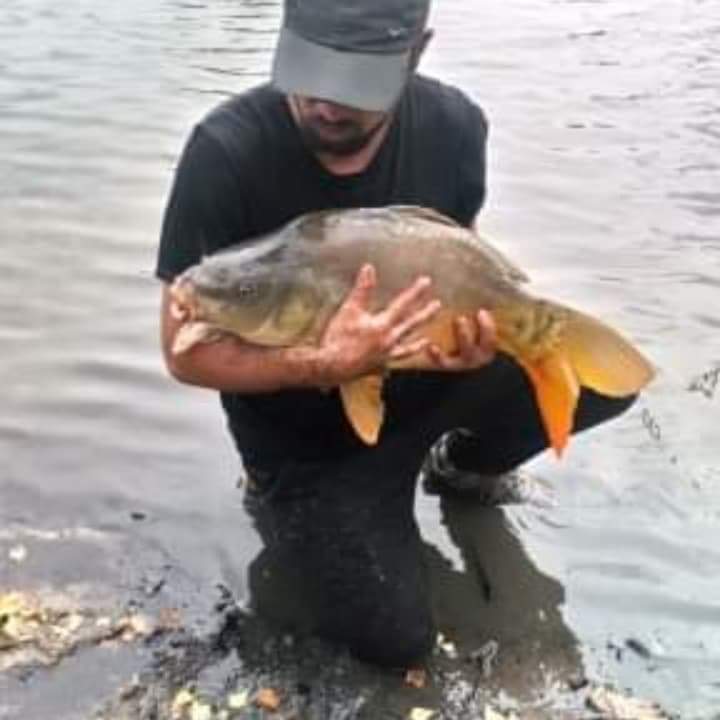Profil de Rali